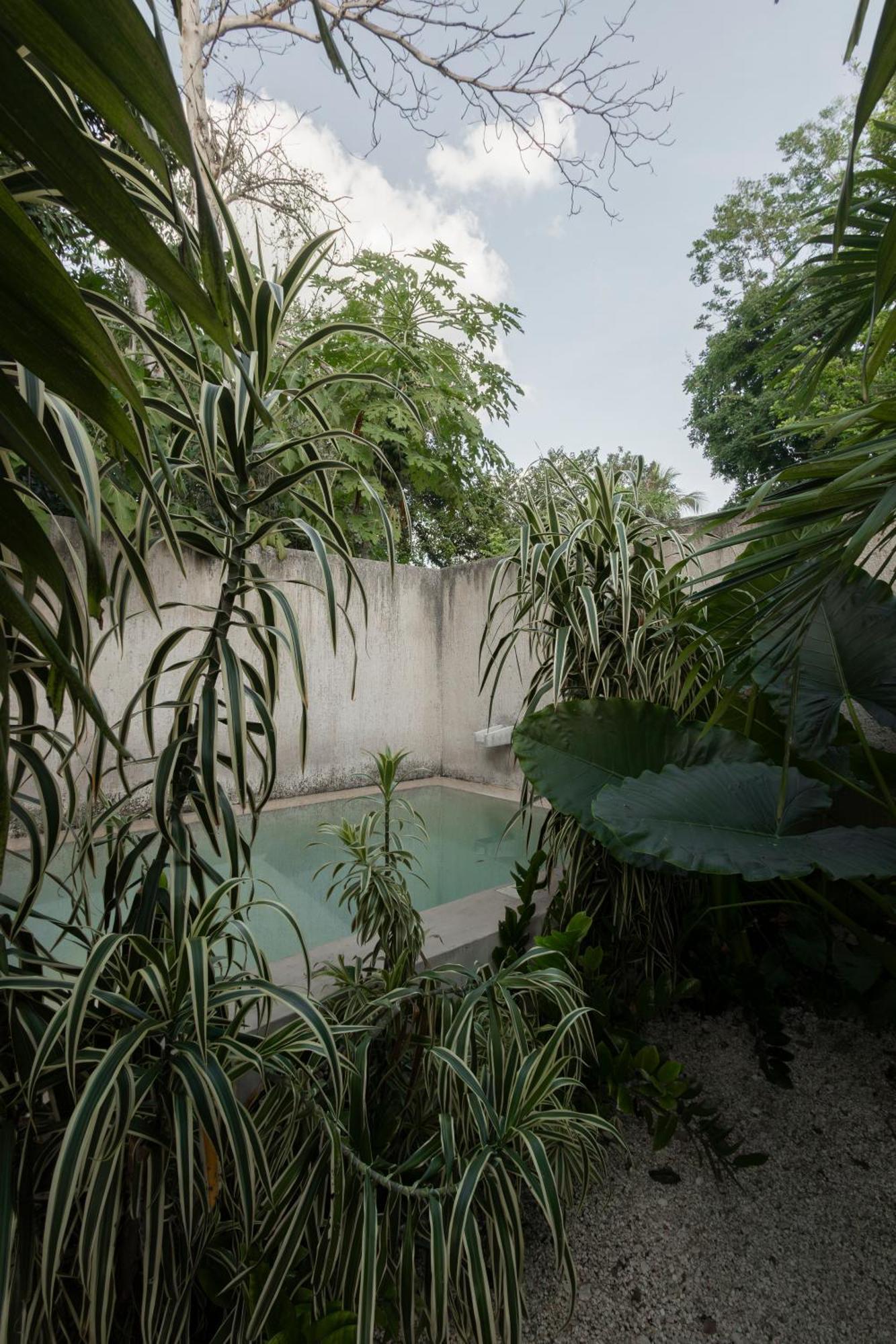 La Sultana: Amazing New House With Pool And Bikes Included. Villa Valladolid  Exterior photo